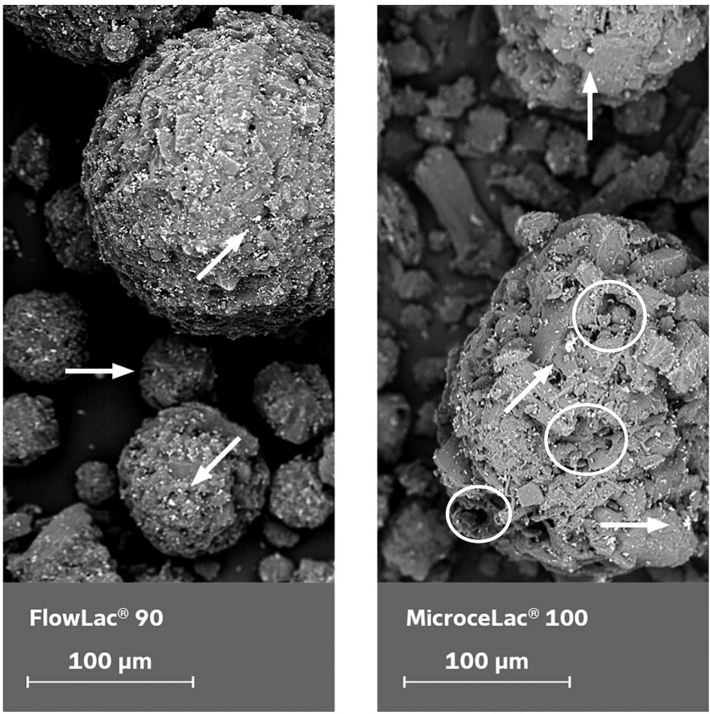 Continuous Manufacturing of Oral Solids | Performance Benefits of Co-Processed Excipients